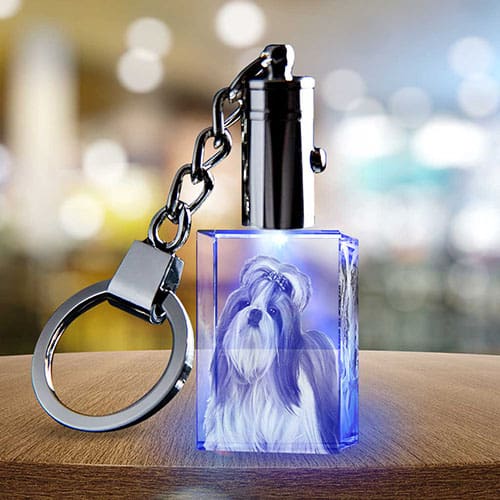 Product Image of the 2D Photo Crystal Keychain