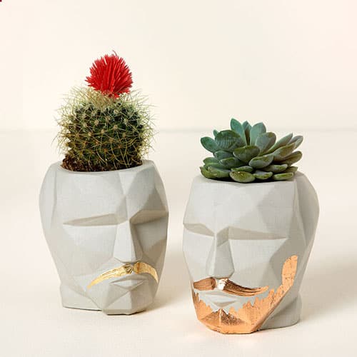 Product Image of the Beard & Mustache Planter
