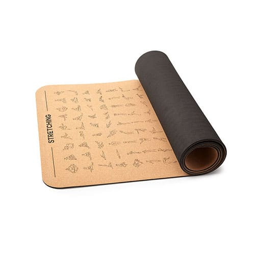 Product Image of the Instructional Cork Yoga Mat