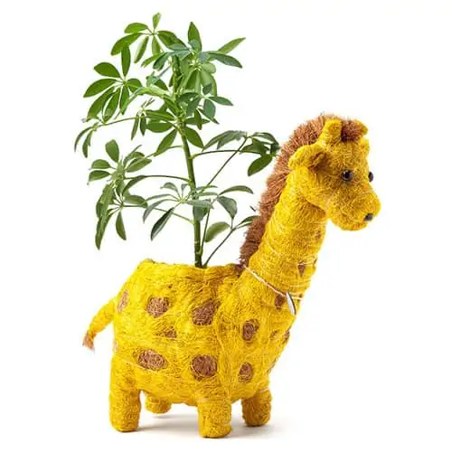 Product Image of the Coconut Fiber Giraffe Planter