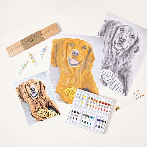 Product Image of the Custom Pet Paint by Shadows Kit 