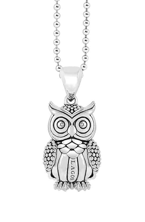 Product Image of the Owl Talisman Necklace