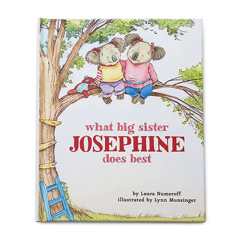 Product Image of the Big Sister Book