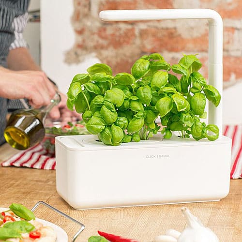 Product Image of the Smart Garden Grow Kit