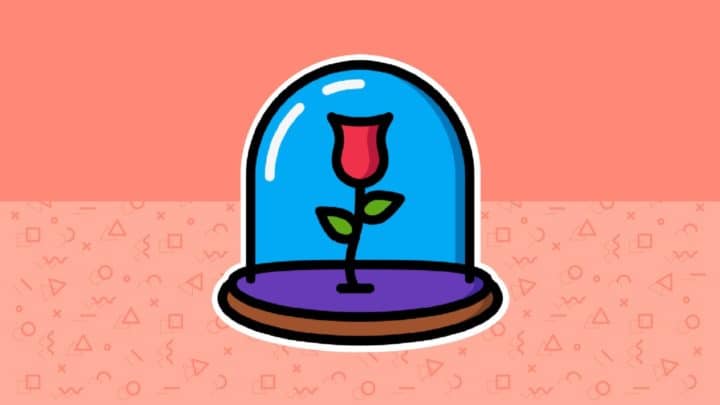 4 Year Anniversary Gifts