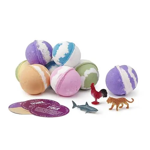 Product Image of the Educational Bath Fizzies Set