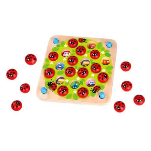 Product Image of the Ladybug's Garden Memory Game