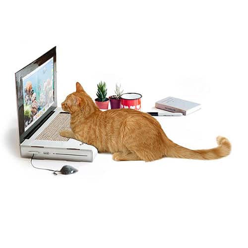 Product Image of the Laptop Cat Scratching Pad