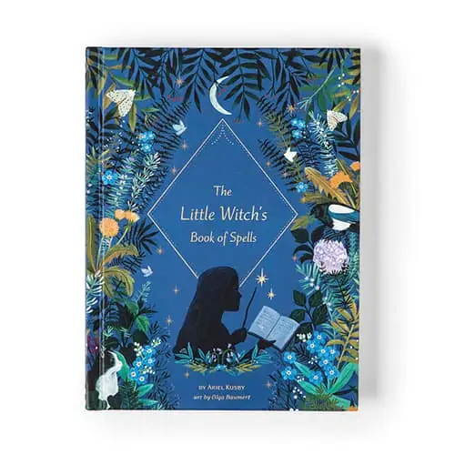 Product Image of the Little Witches Book