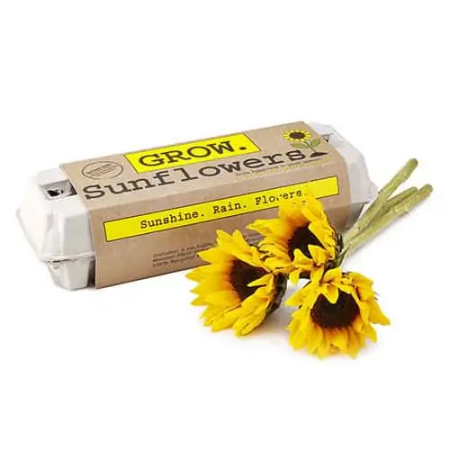 Product Image of the Sunflower Garden Grow Kit