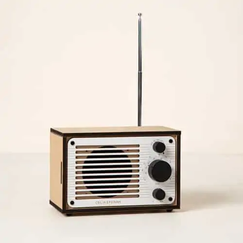 Product Image of the Build Your Own Bluetooth and FM Radio