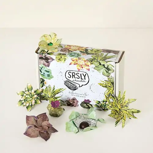 Product Image of the Succulent Chocolate Gift Set
