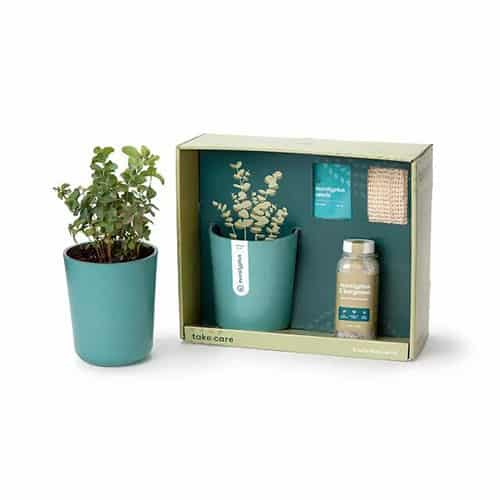 Product Image of the Just Breathe Eucalyptus Spa Gift Set