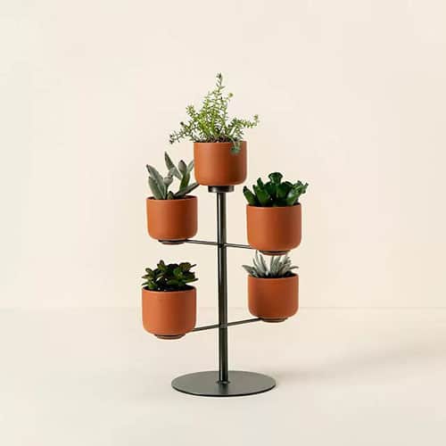 Product Image of the Modern Desktop Terracotta Planters