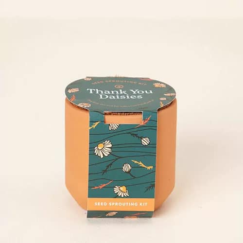 Product Image of the Thank You Daisies Grow Kit