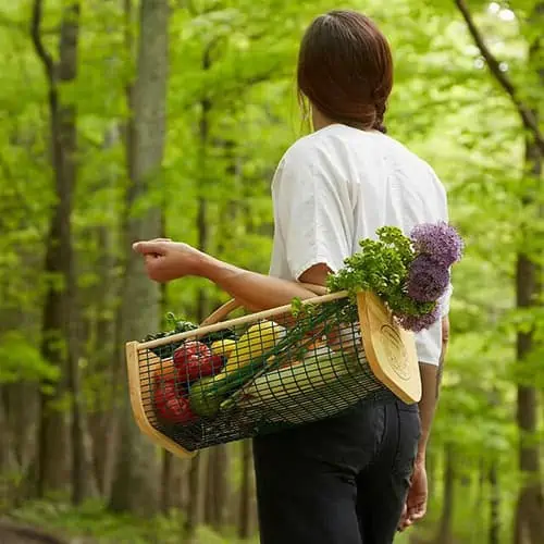Product Image of the Gardener's Harvest Basket