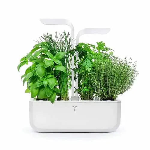 Product Image of the LED Self-Watering Multi-Herb Garden