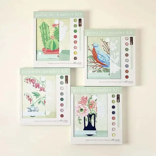Product Image of the Springtime Paint-by-Number Kit