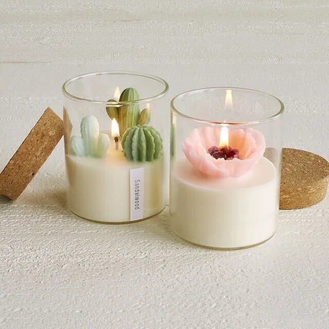 Product Image of the Terrarium Candle
