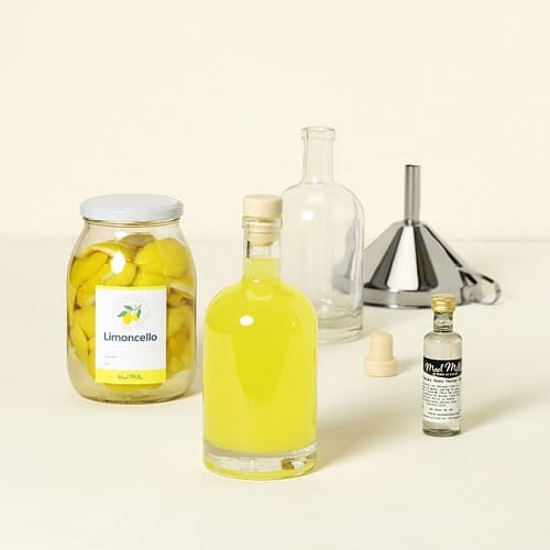 Product Image of the Homemade Limoncello Kit