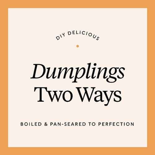 Product Image of the DIY Dumpling Experience