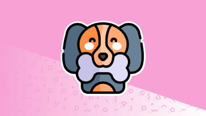 Gift Ideas For Dogs