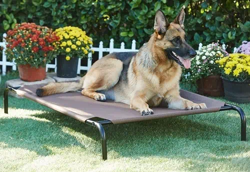Product Image of the Elevated Dog Bed