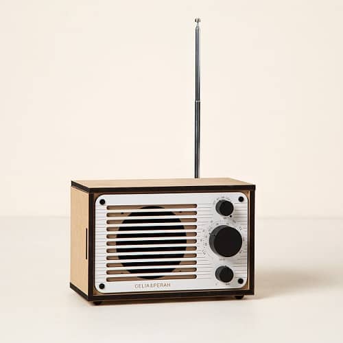 Product Image of the DIY Bluetooth FM Radio