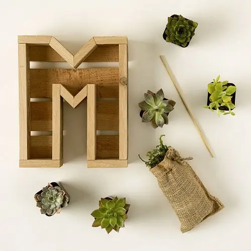 Product Image of the Succulent Letter DIY Kit