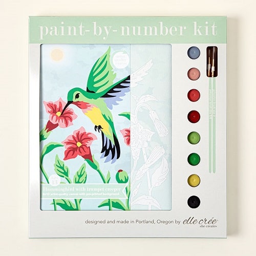 Product Image of the Hummingbird Paint-By-Number Kit