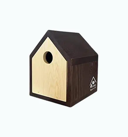 Product Image of the 2-in-1 Convertible Birdhouse Birdfeeder