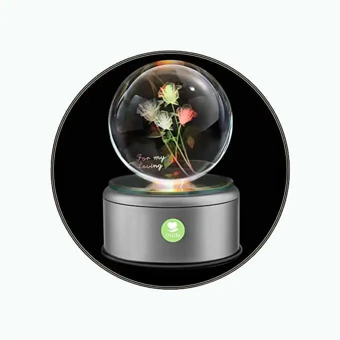 Product Image of the 3D Crystal Globe