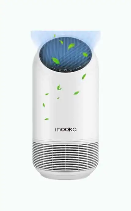 Product Image of the Air Purifier