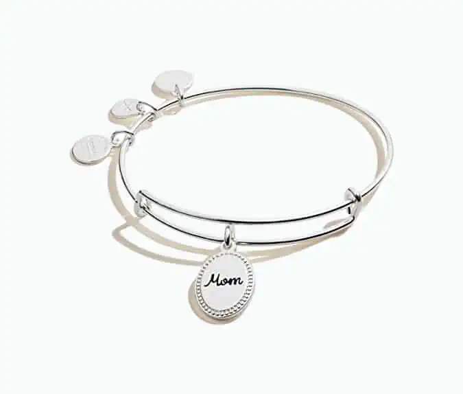 Product Image of the Alex and Ani Jewelry Set