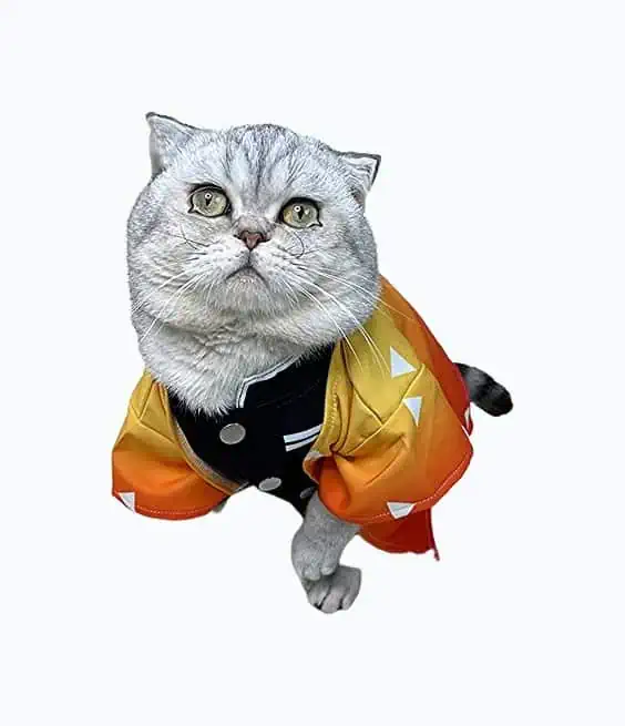 Product Image of the Anime Pet Cartoon Costume