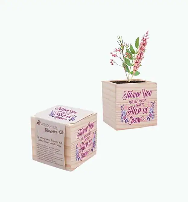 Product Image of the Appreciation Plant Set