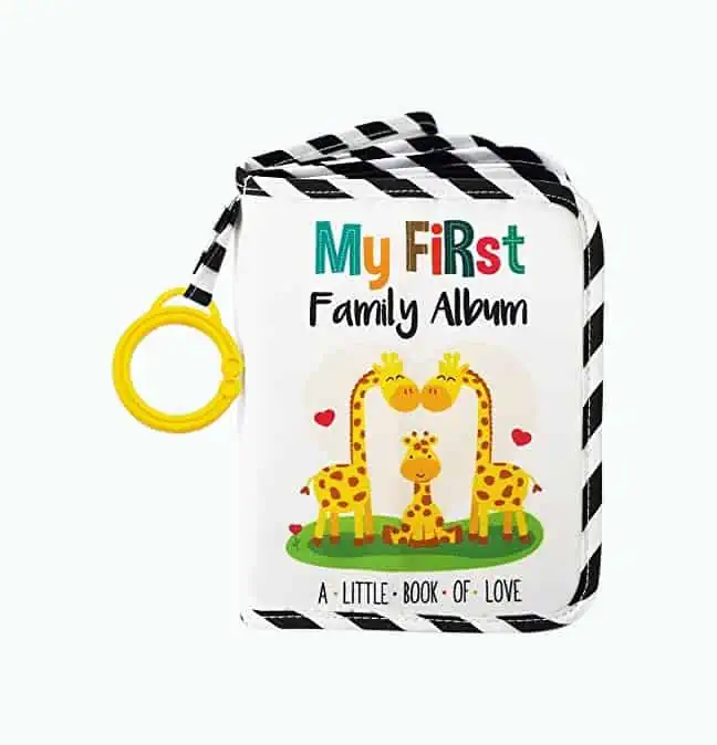 Product Image of the Baby’s First Family Album