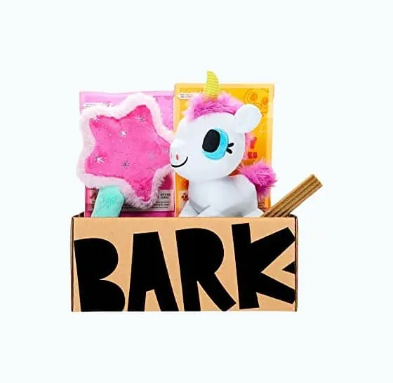 Product Image of the BarkBox Monthly Subscription Box