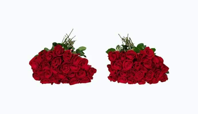 Product Image of the Benchmark Bouquets 50 Red Roses Farm Direct