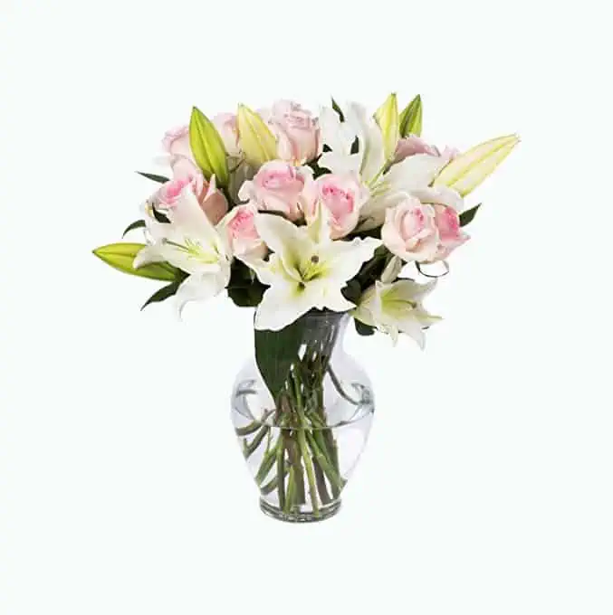 Product Image of the Benchmark Bouquets Light Pink Roses