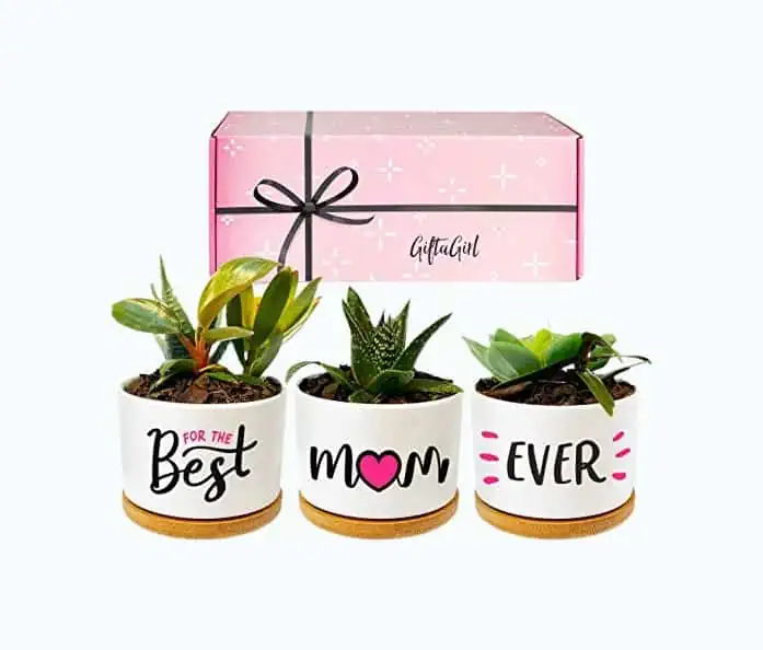 Product Image of the Best Mom Plant Pot Set