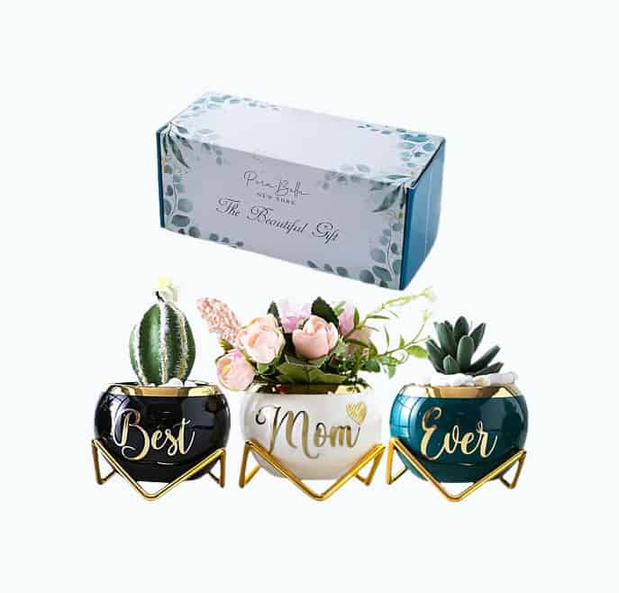 Product Image of the Best Mom Succulent Pot Set