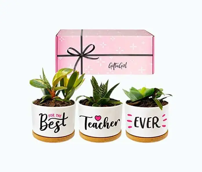 Product Image of the Best Teacher Ever Plant Pots