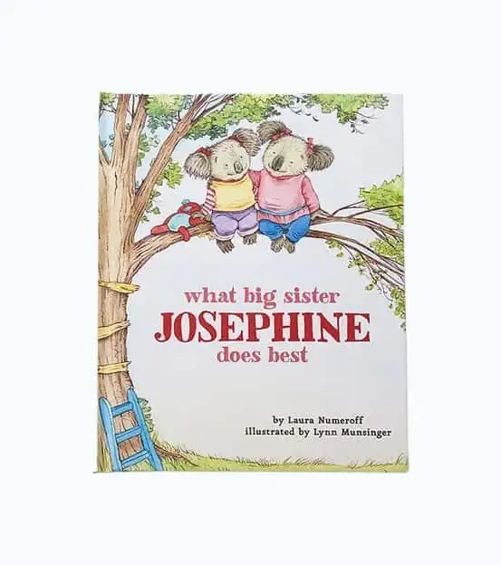 Product Image of the Big Sister Book