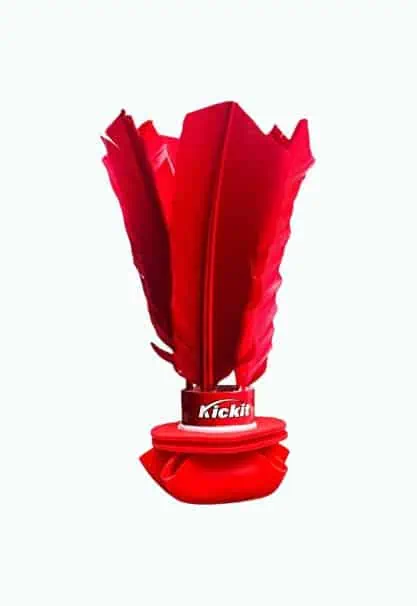 Product Image of the Birdie Soccer Trainer