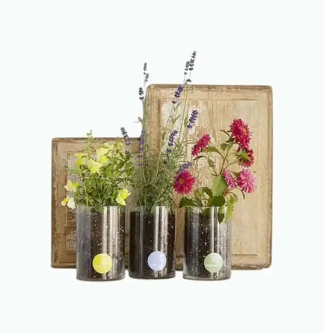 Product Image of the Birth Month Flower Grow Kit