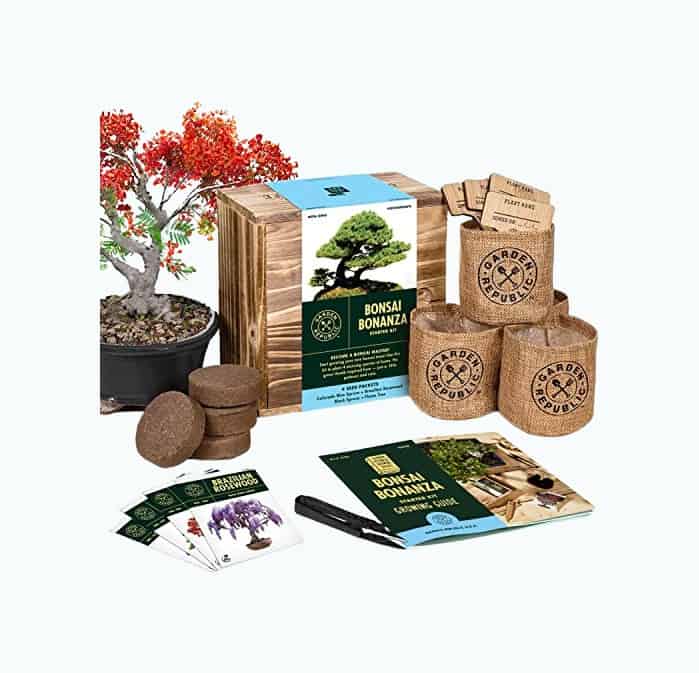 Product Image of the Bonsai Making Gift Box
