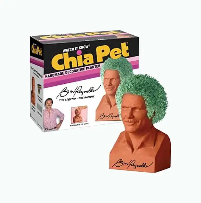 Product Image of the Burt Reynolds Chia Pet