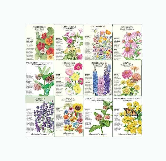 Product Image of the Butterfly Garden Flower Seed Collection