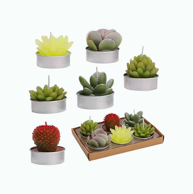 Product Image of the Cactus Tealight Candle Set